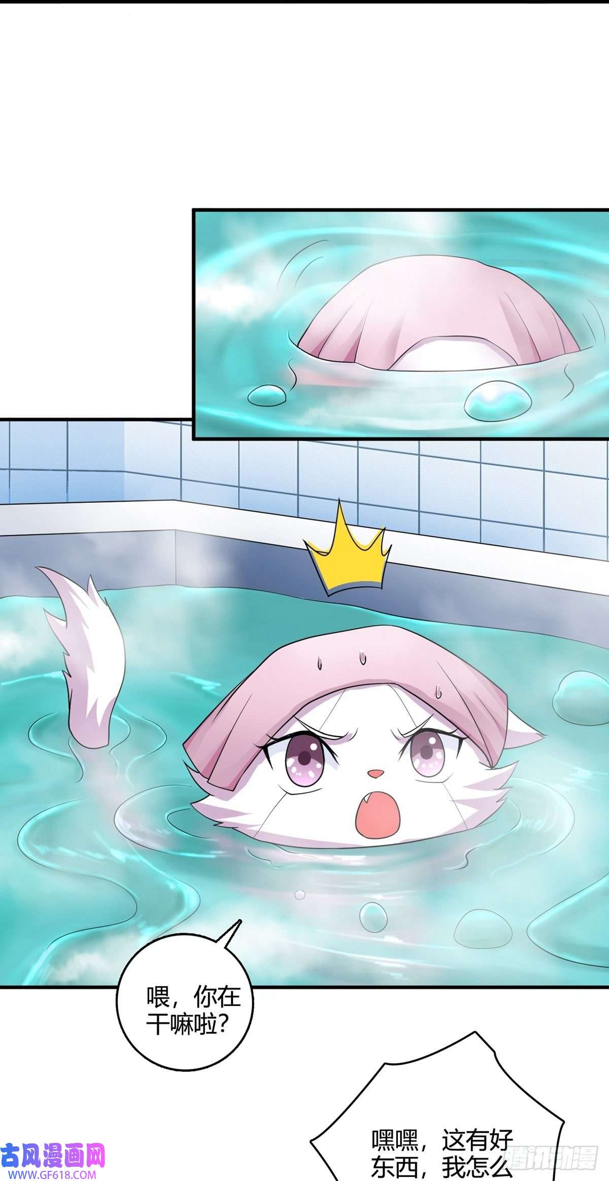 28.jpg