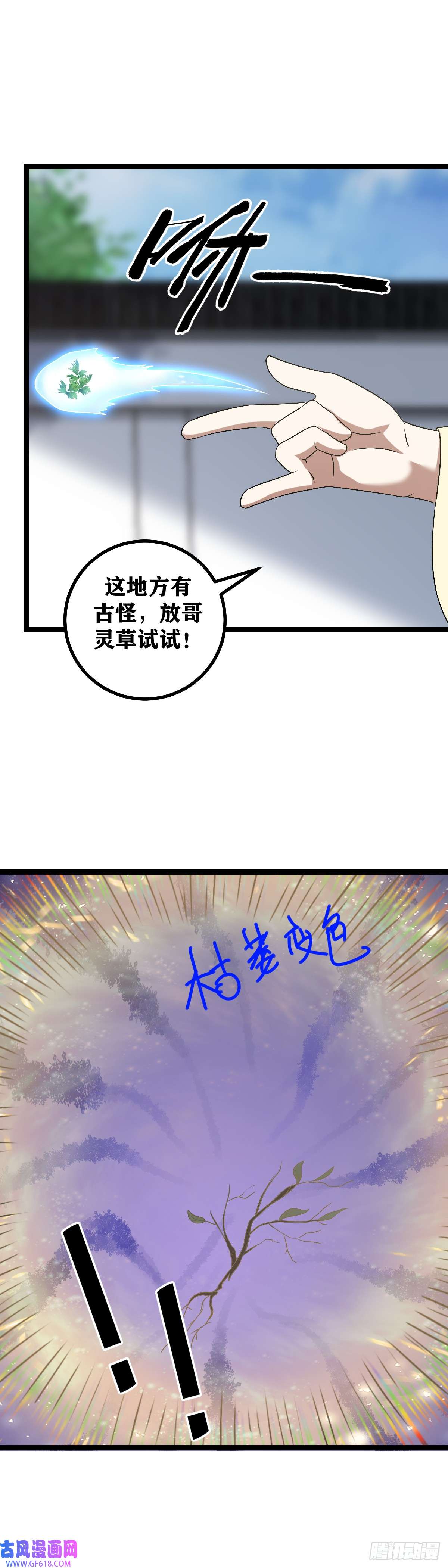 13.jpg