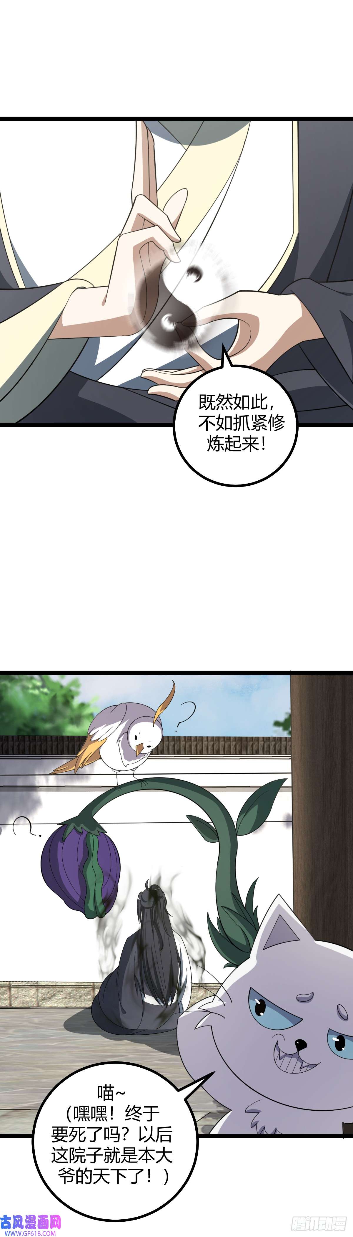 11.jpg