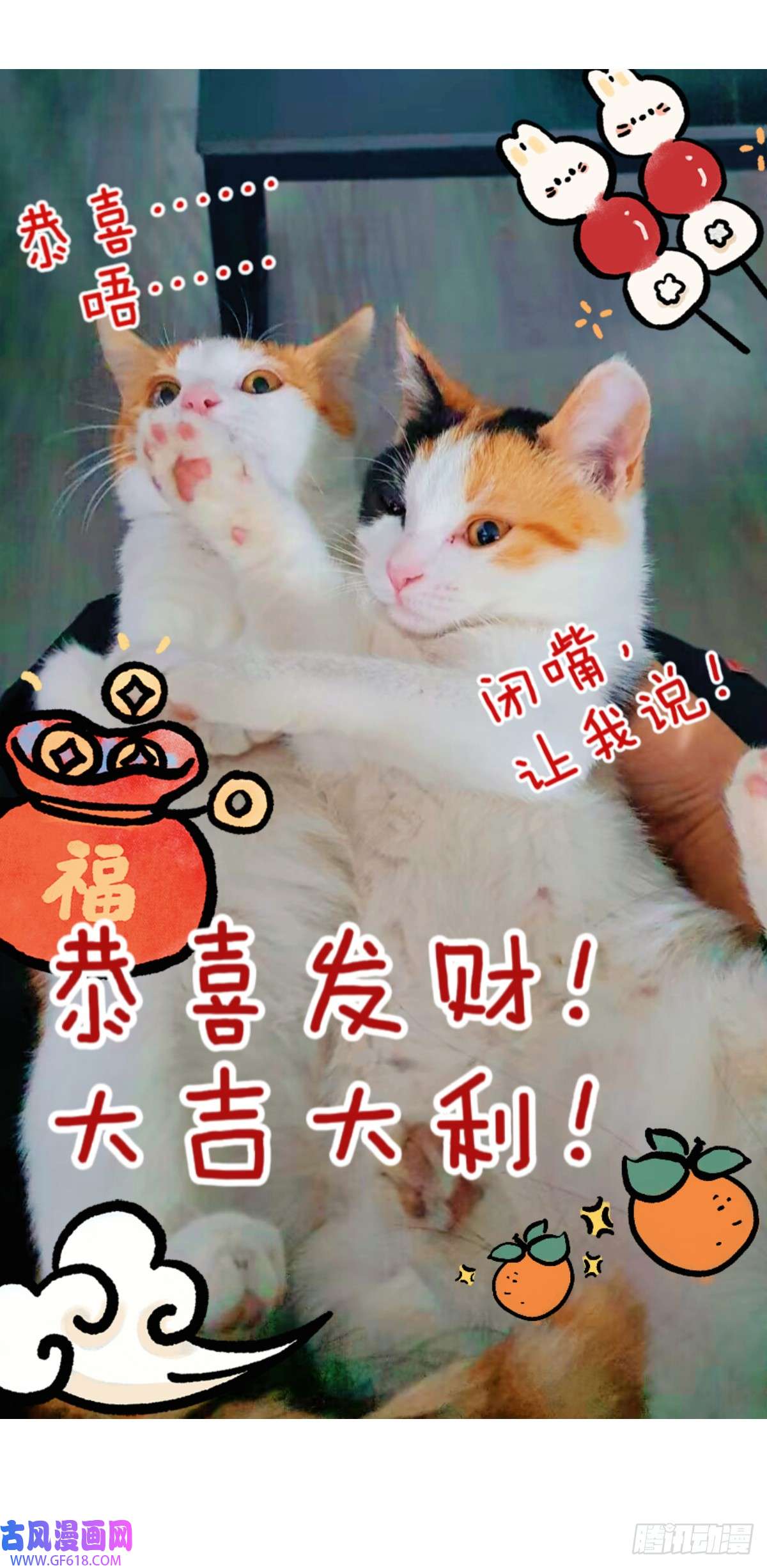 23.jpg