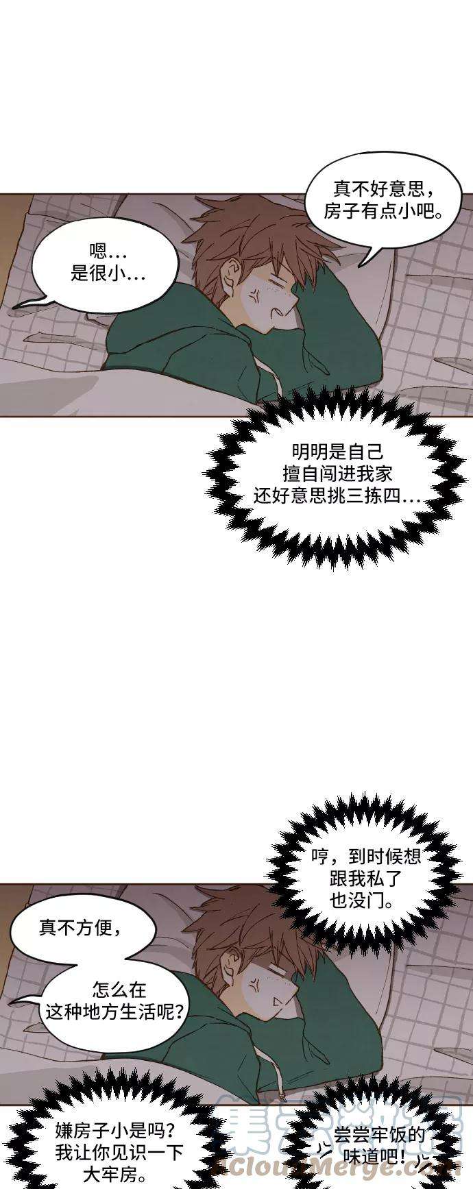 28.jpg
