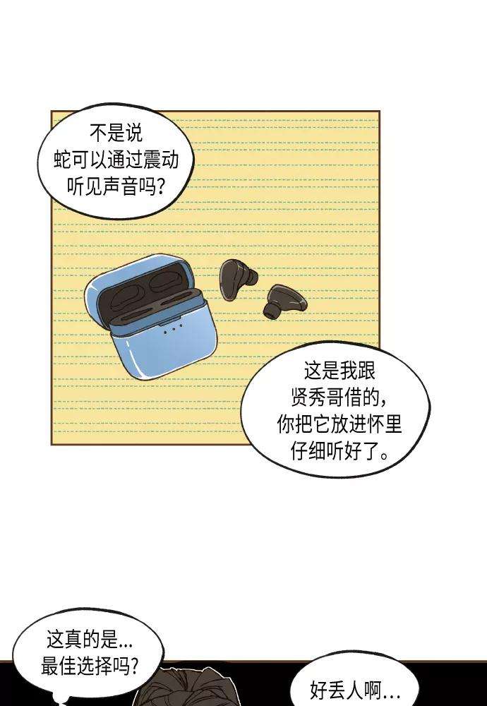 41.jpg