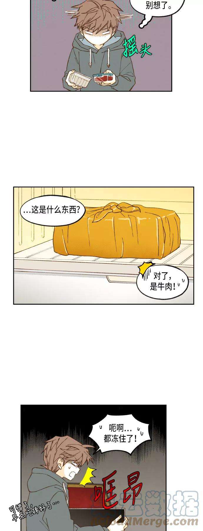 31.jpg