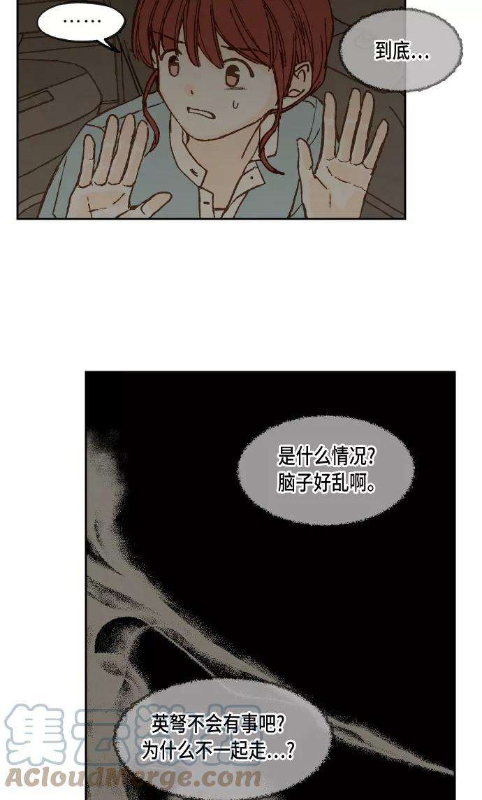 46.jpg