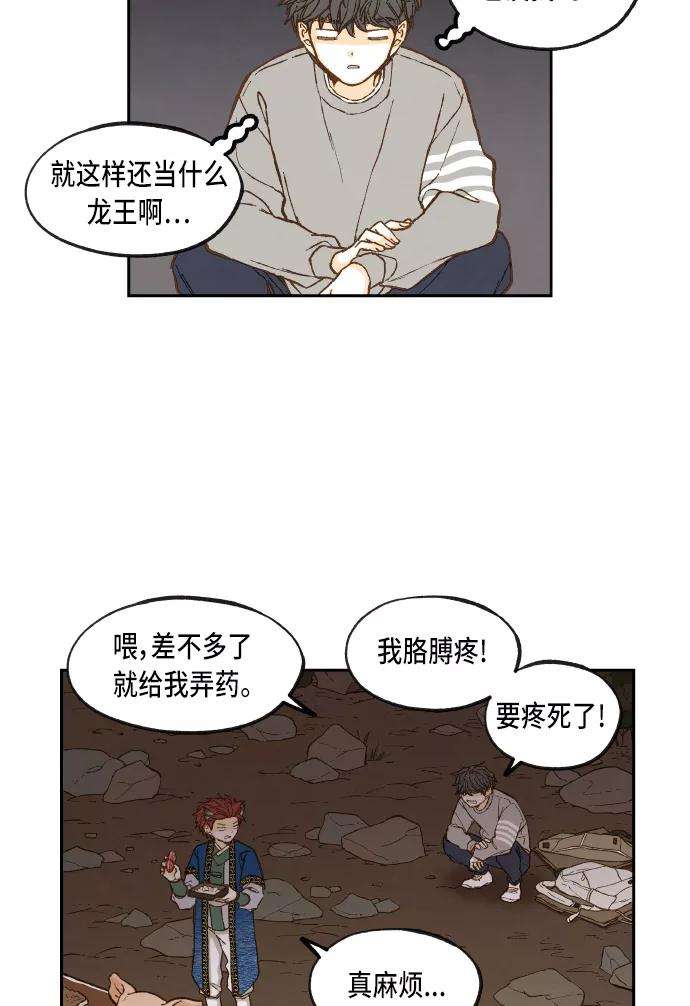 21.jpg