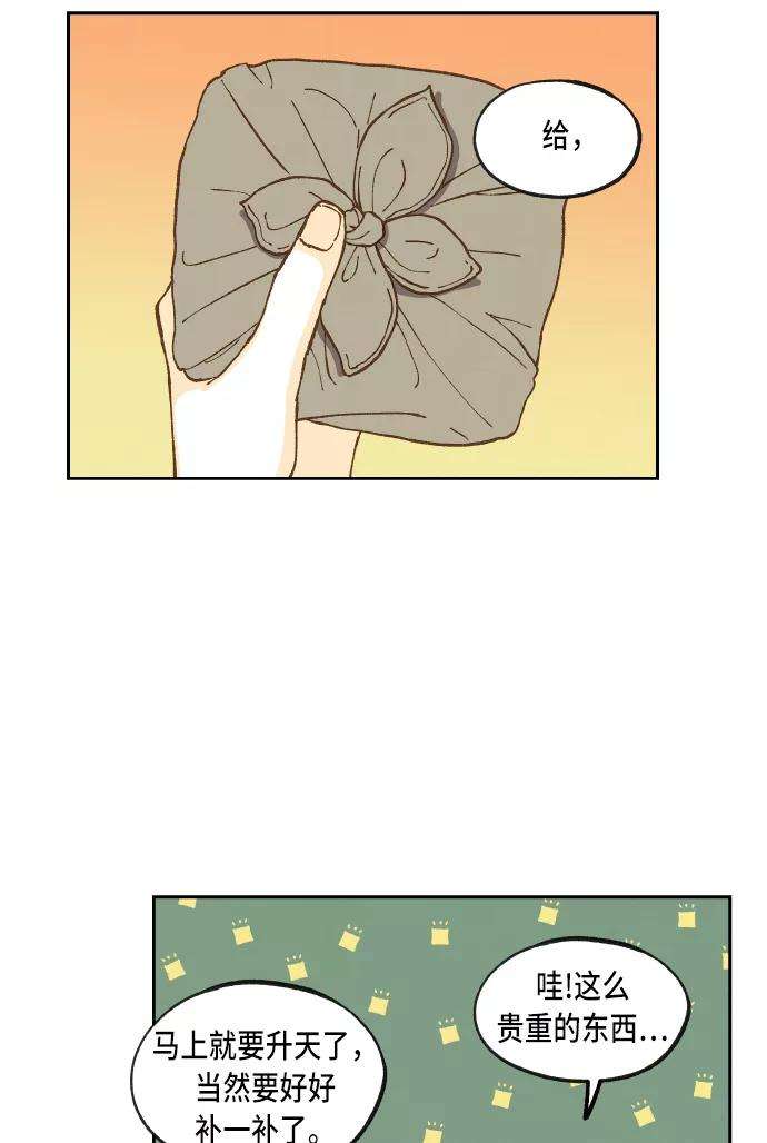 41.jpg
