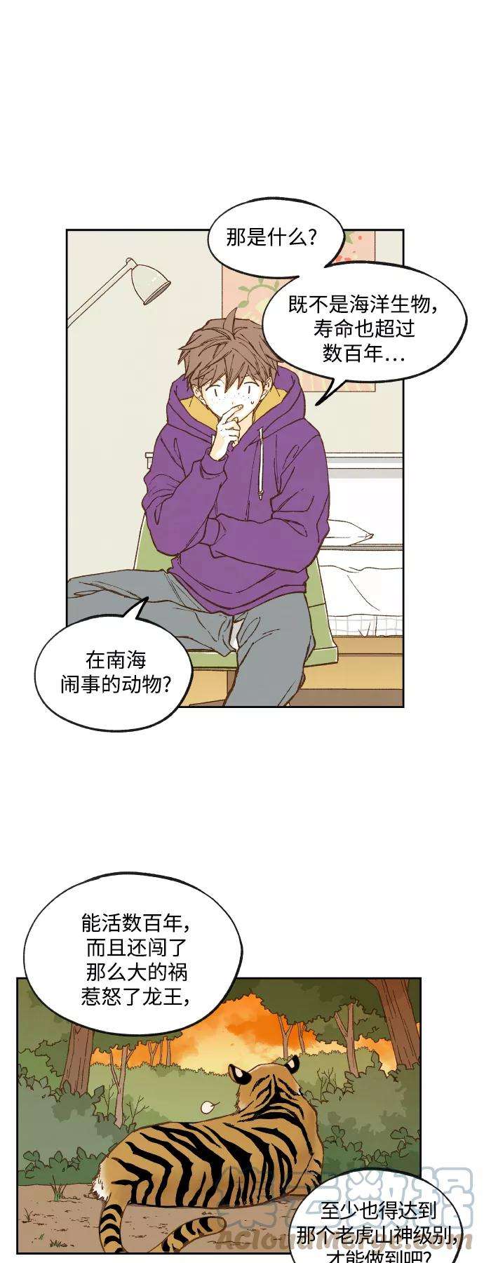 13.jpg