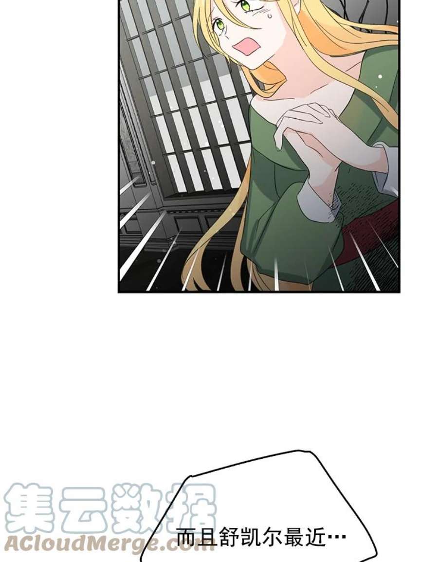52.jpg