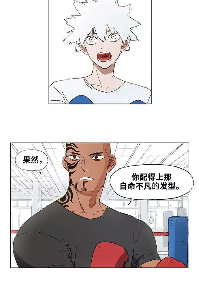 48.jpg