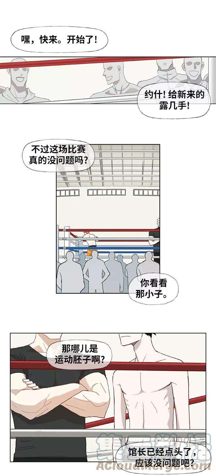 19.jpg