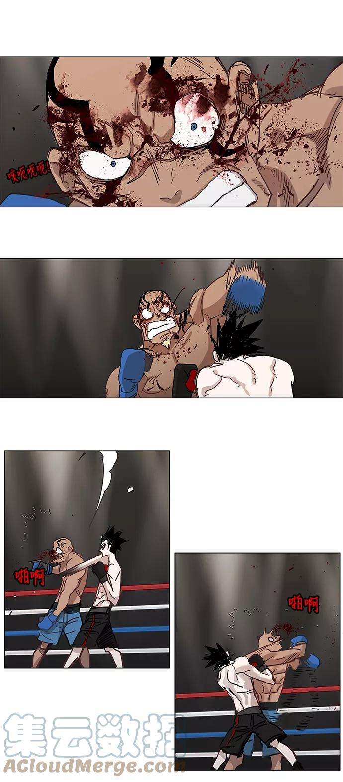 17.jpg