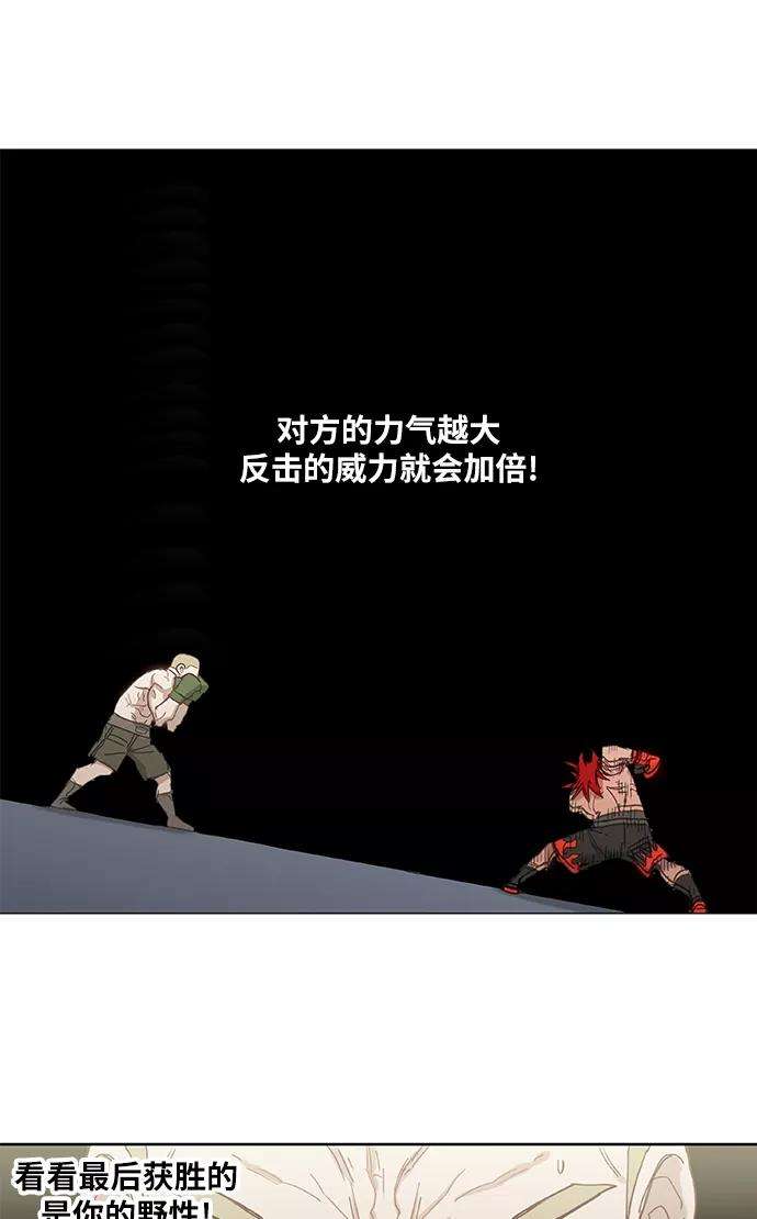 56.jpg