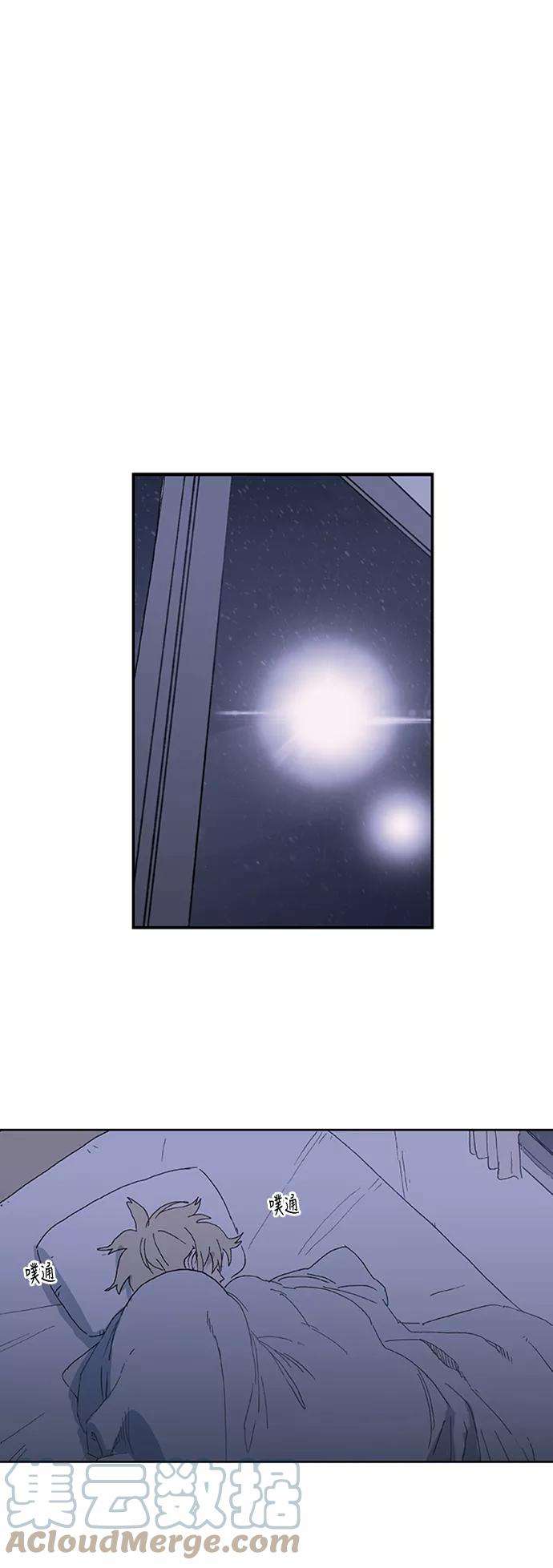 43.jpg