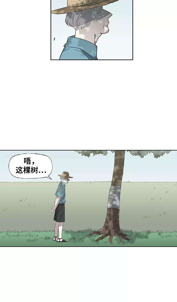 50.jpg