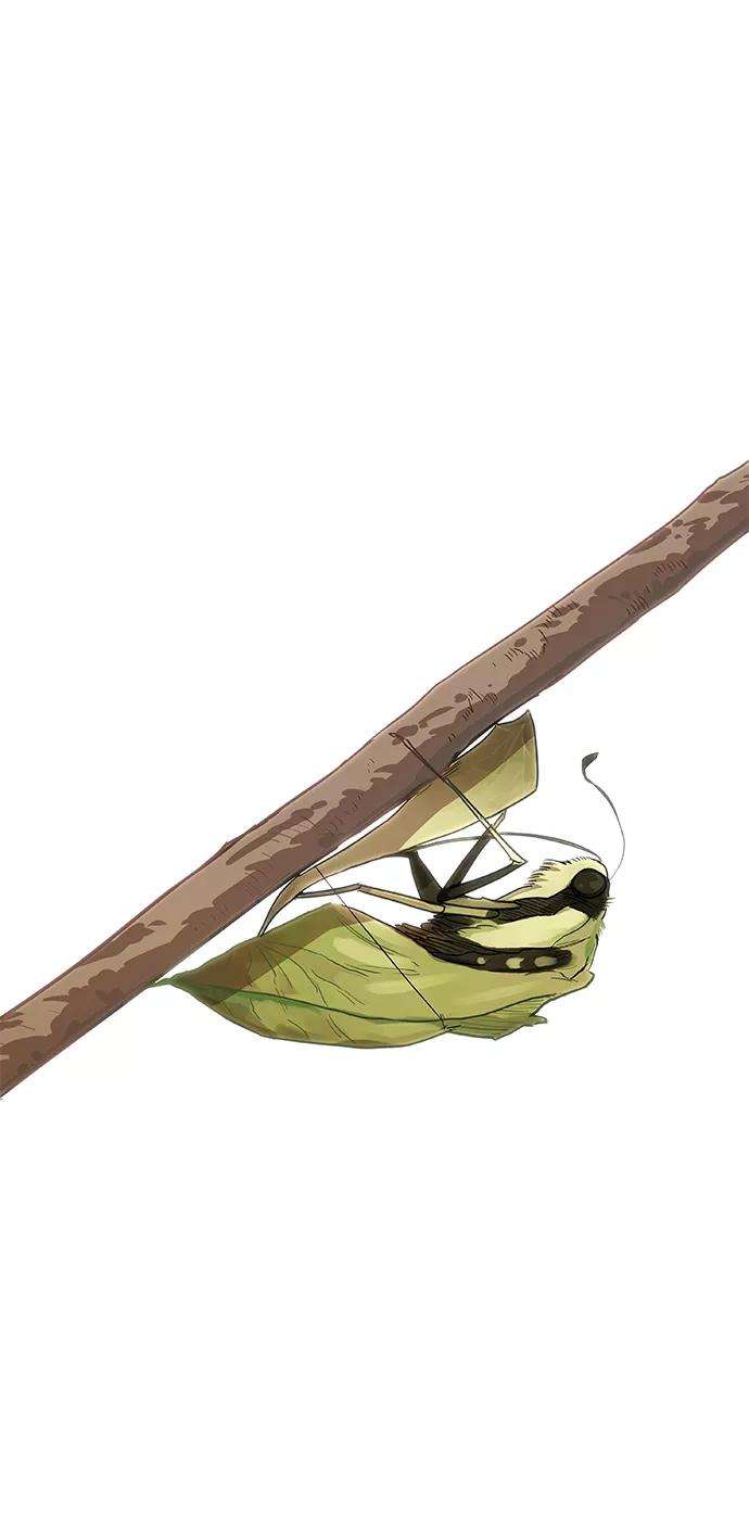 75.jpg