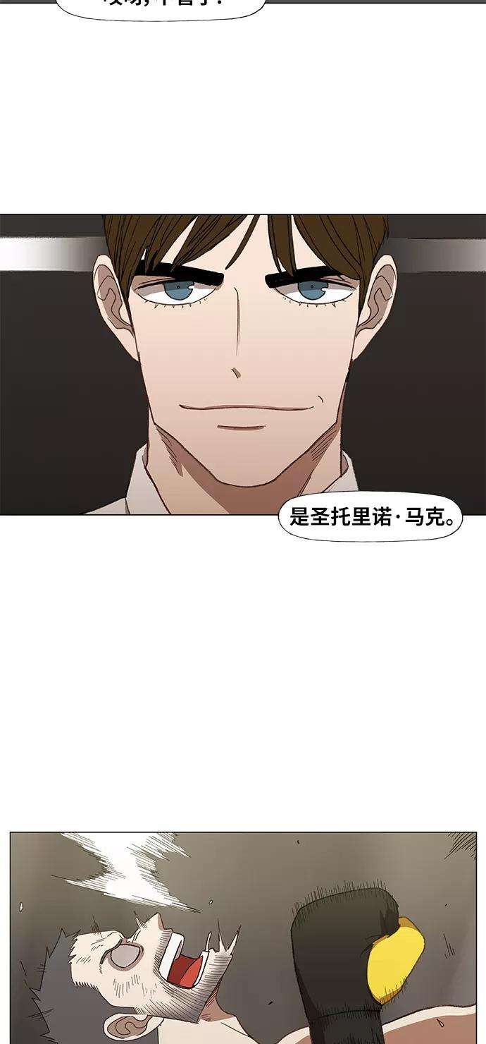 41.jpg