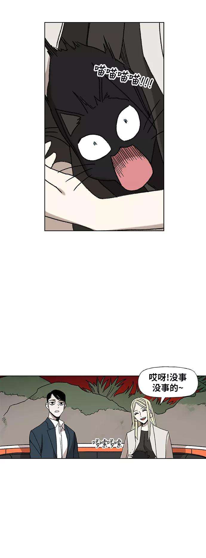 35.jpg