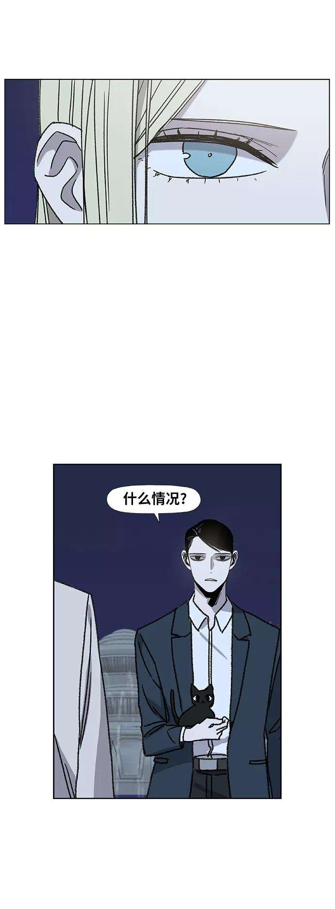 53.jpg