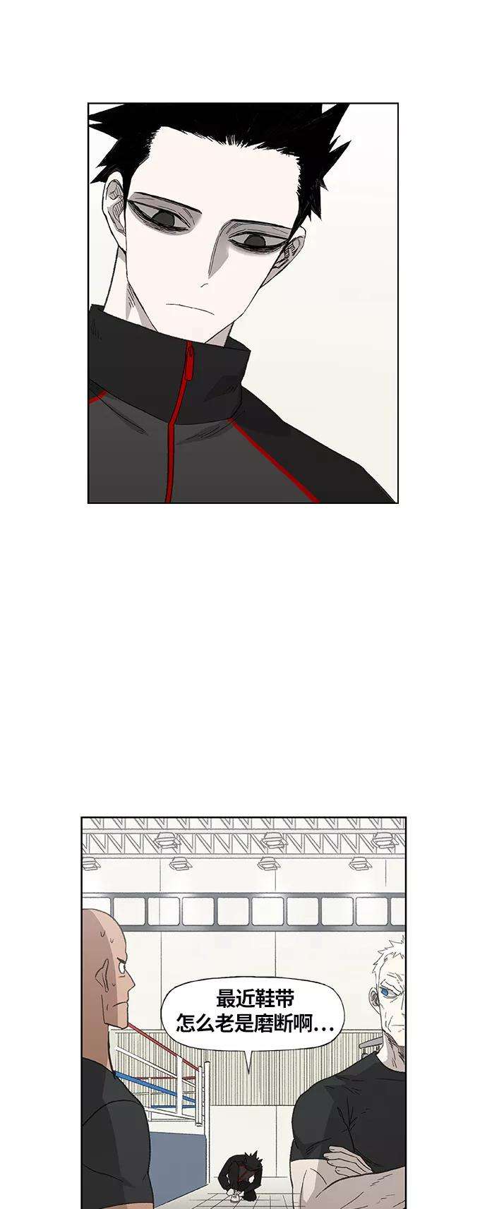 17.jpg