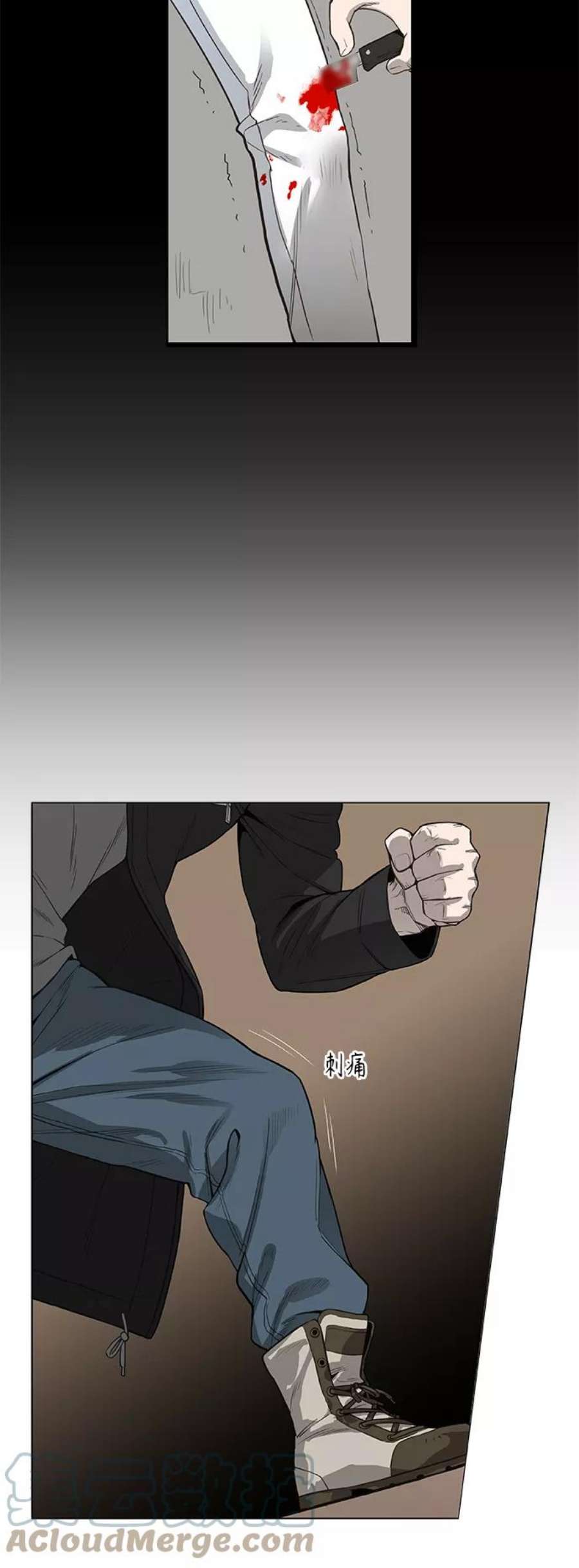 37.jpg