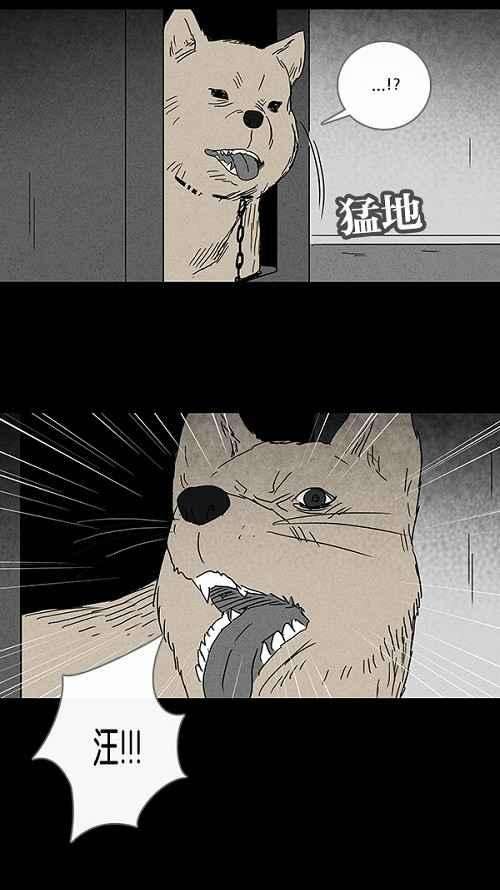 21.jpg