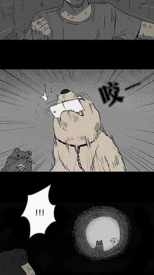 18.jpg