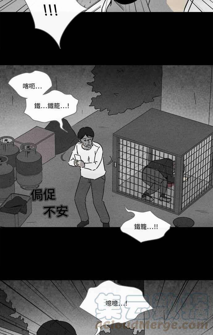 13.jpg
