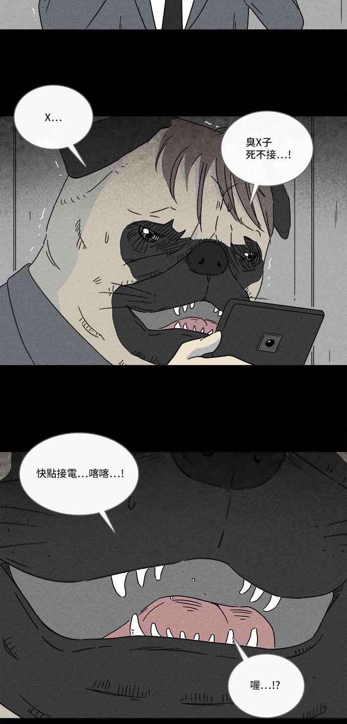 20.jpg