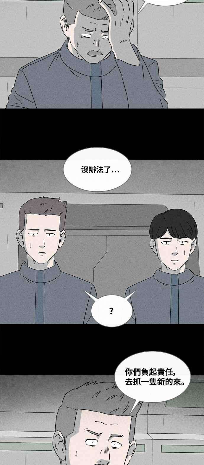 26.jpg