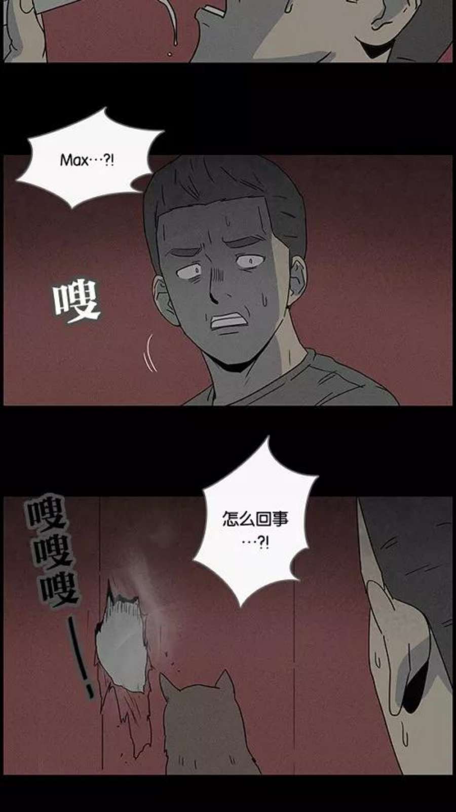20.jpg