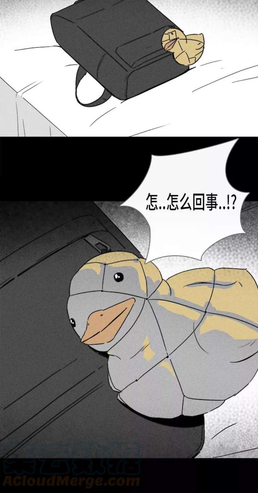 31.jpg