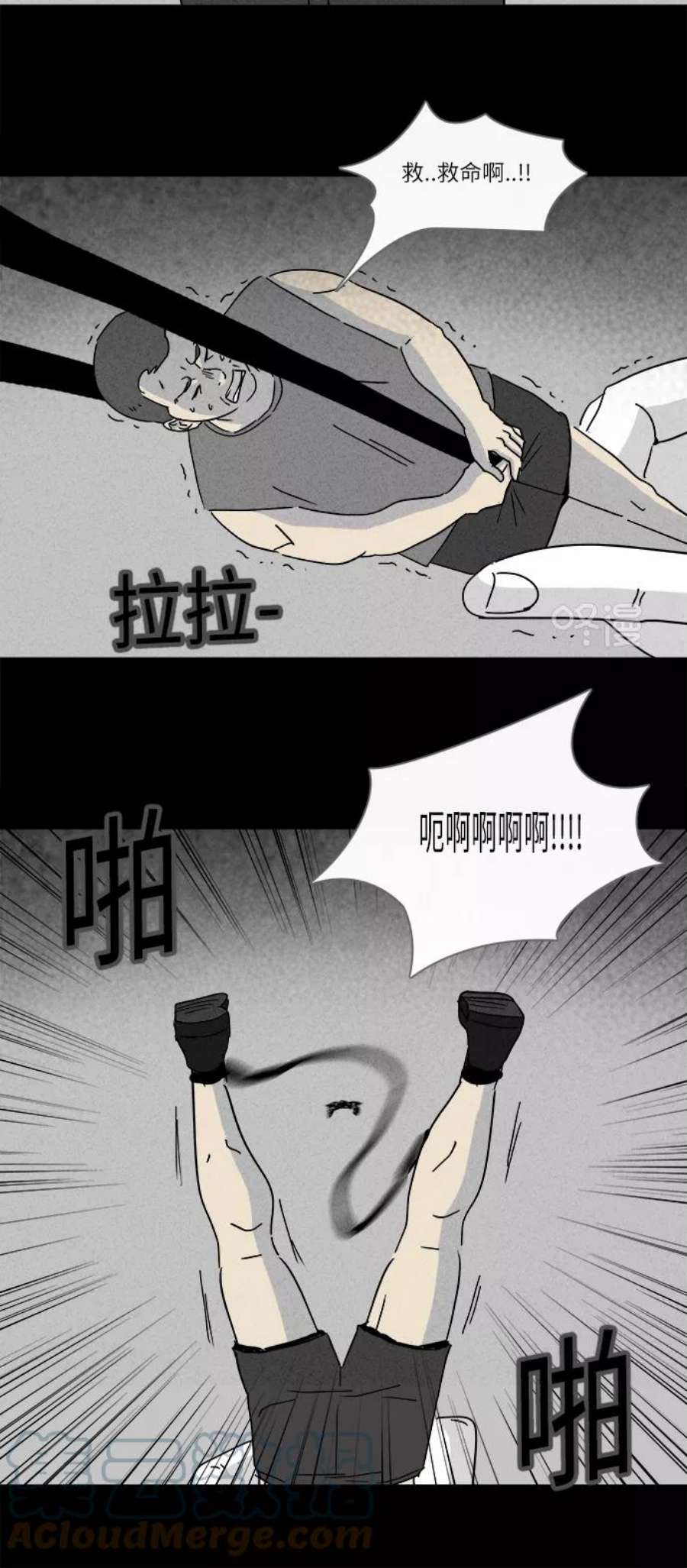 13.jpg