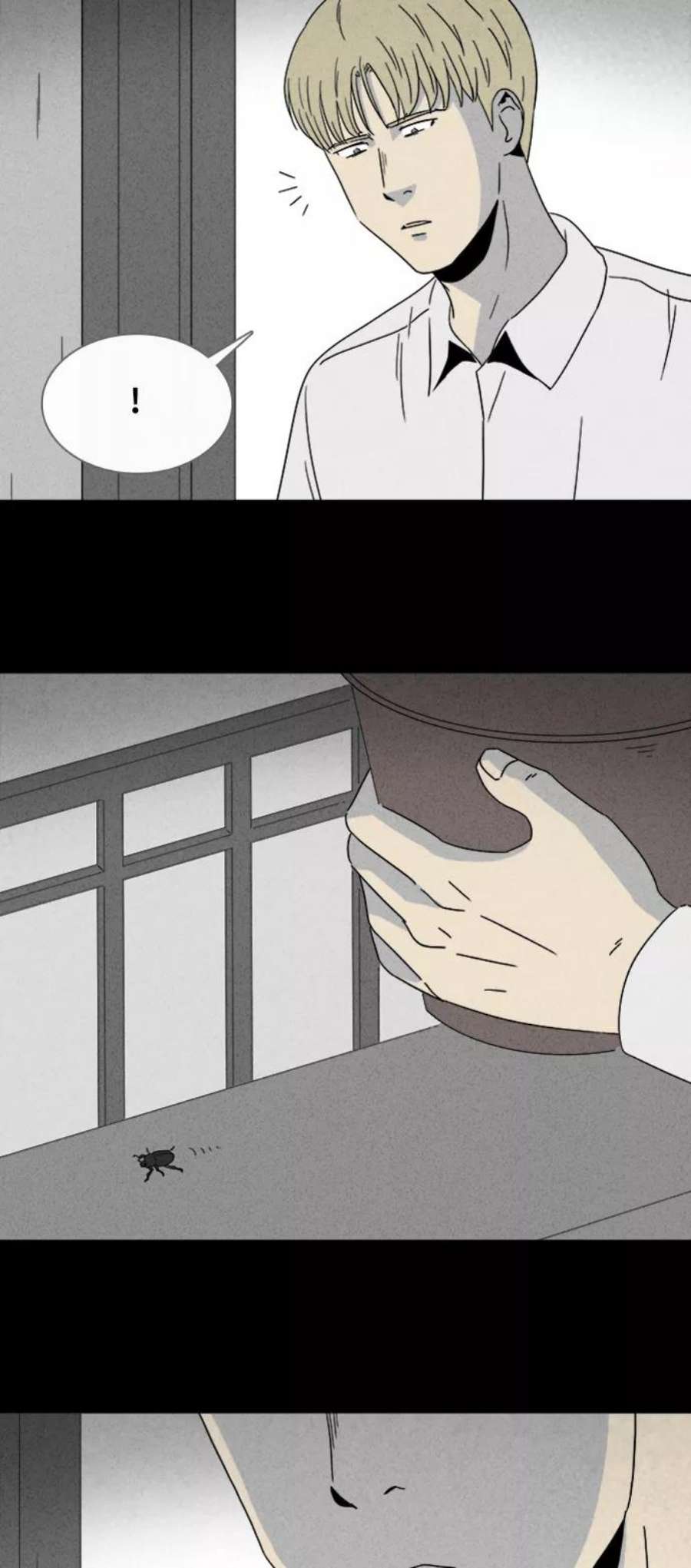 28.jpg