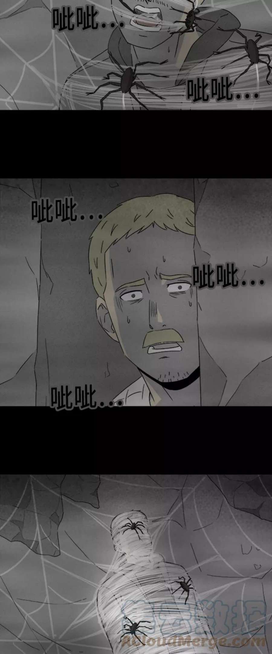 31.jpg