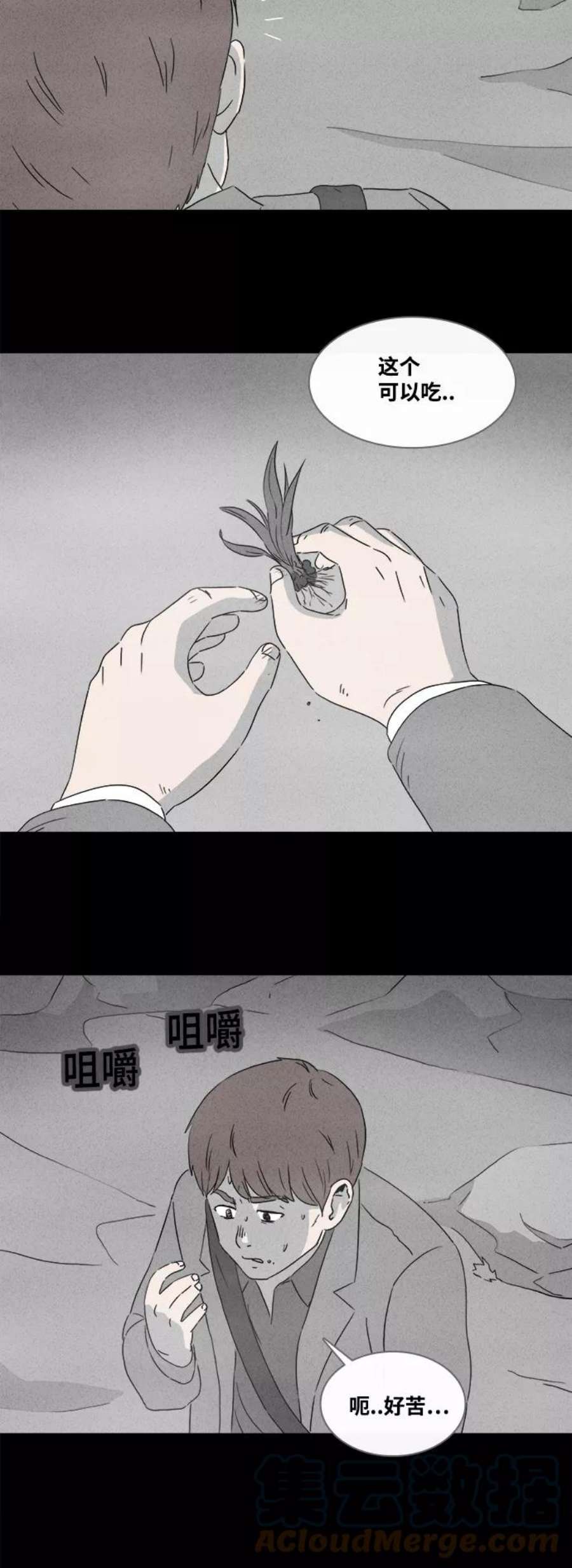 17.jpg