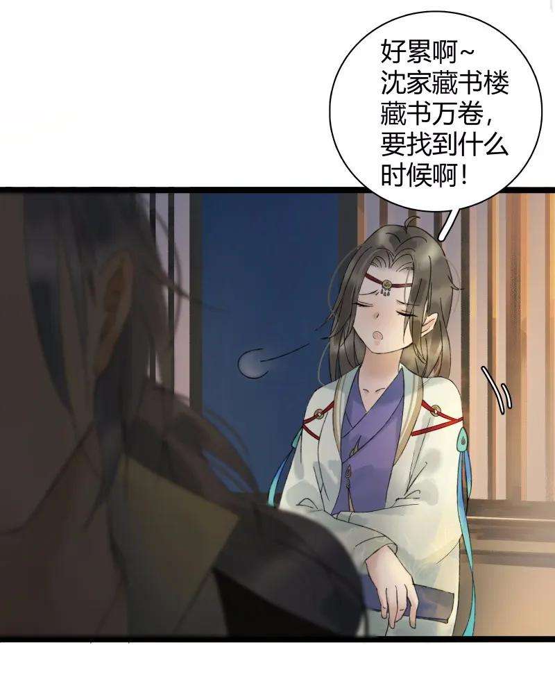 11.jpg