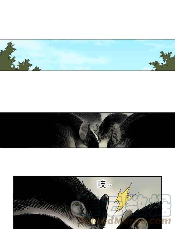 37.jpg