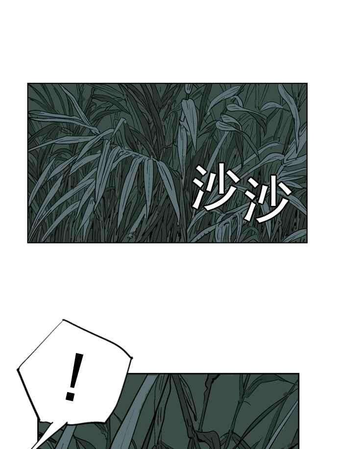 99.jpg