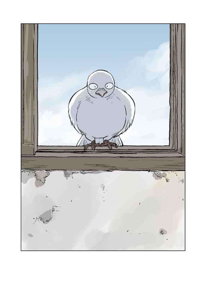 26.jpg