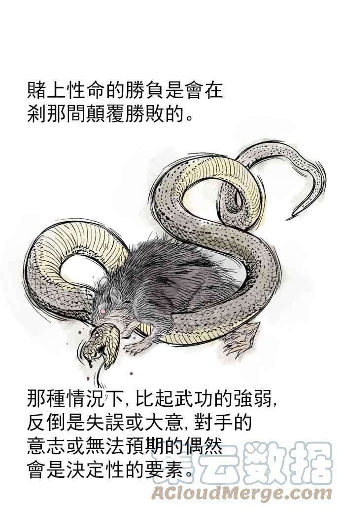 41.jpg