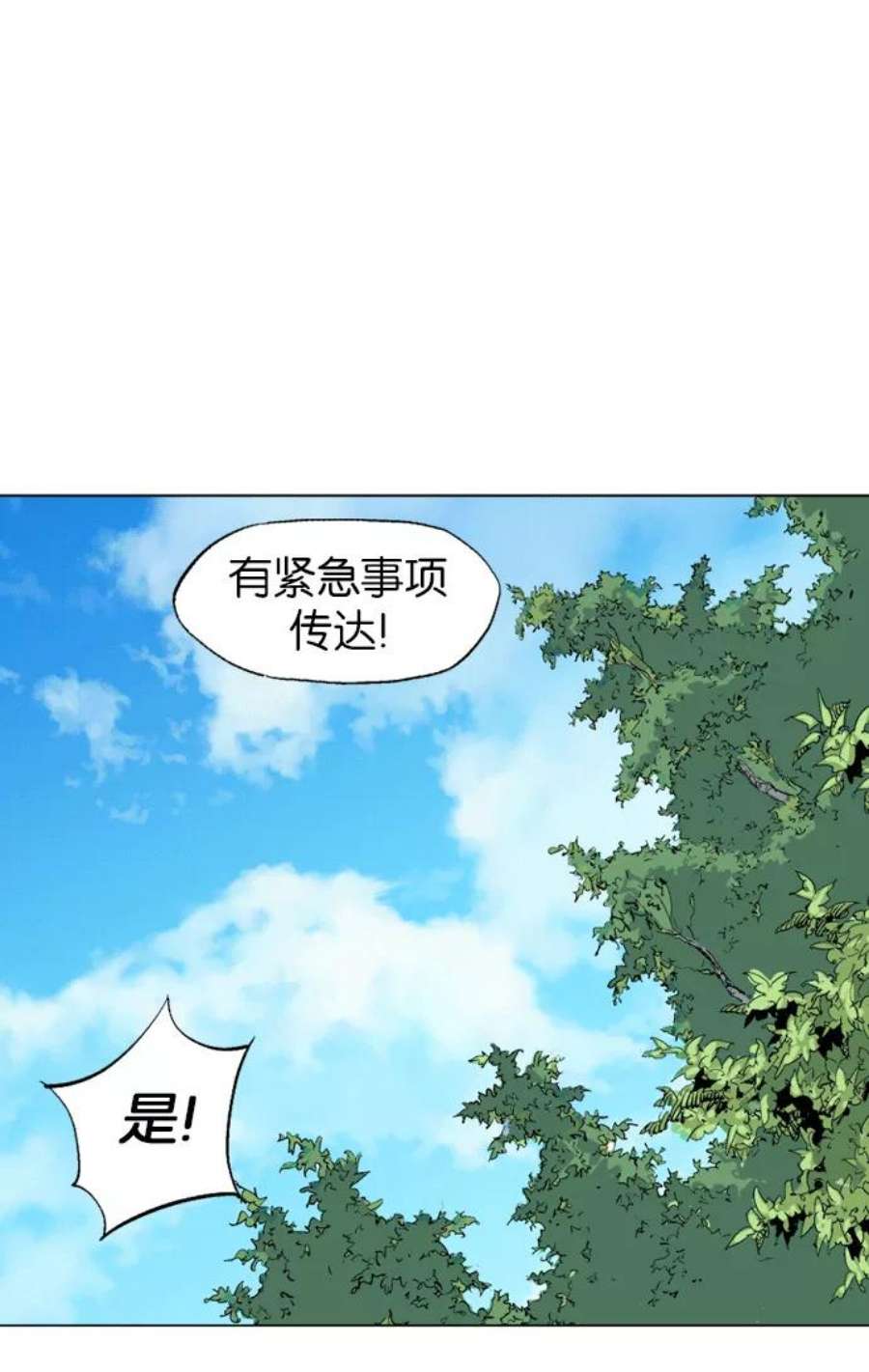 46.jpg