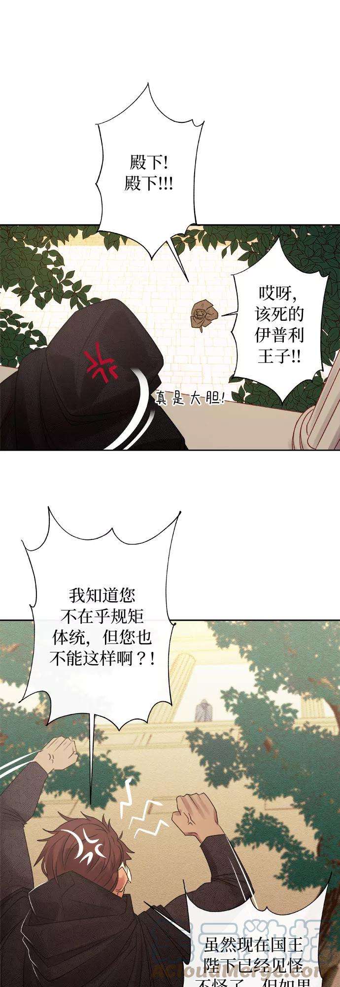 61.jpg