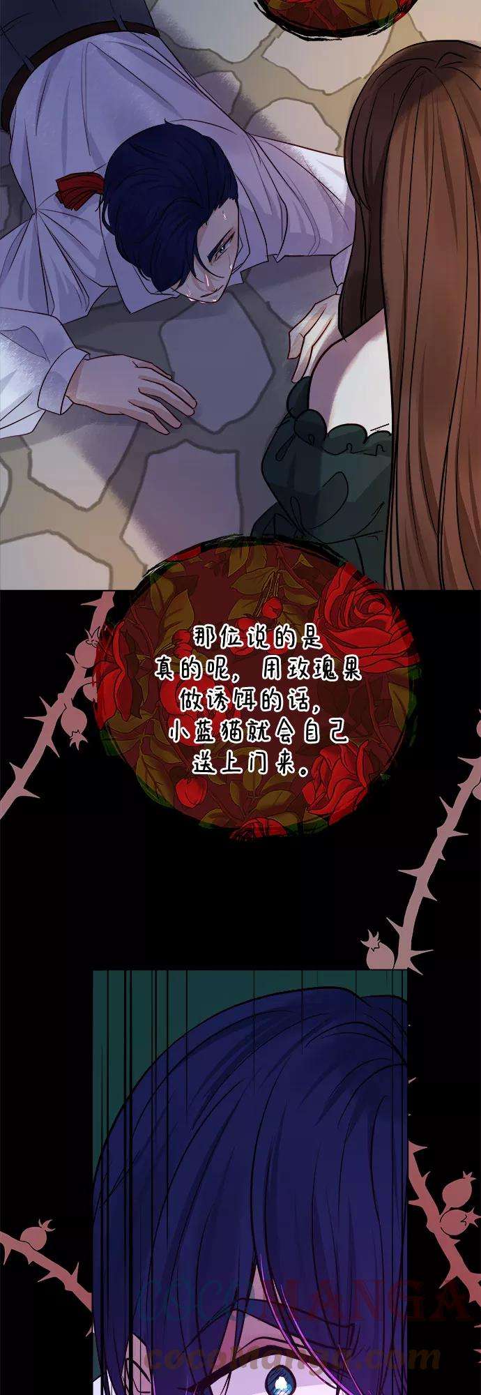46.jpg