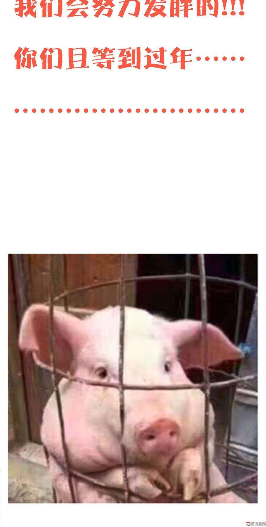 62.jpg