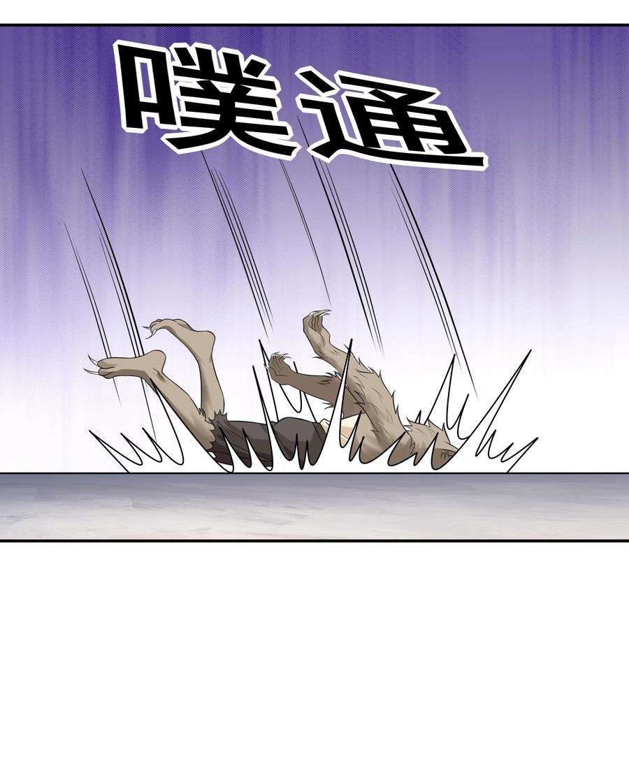 17.jpg