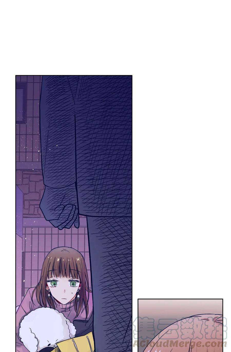 41.jpg