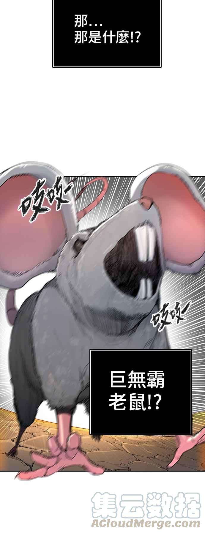 61.jpg