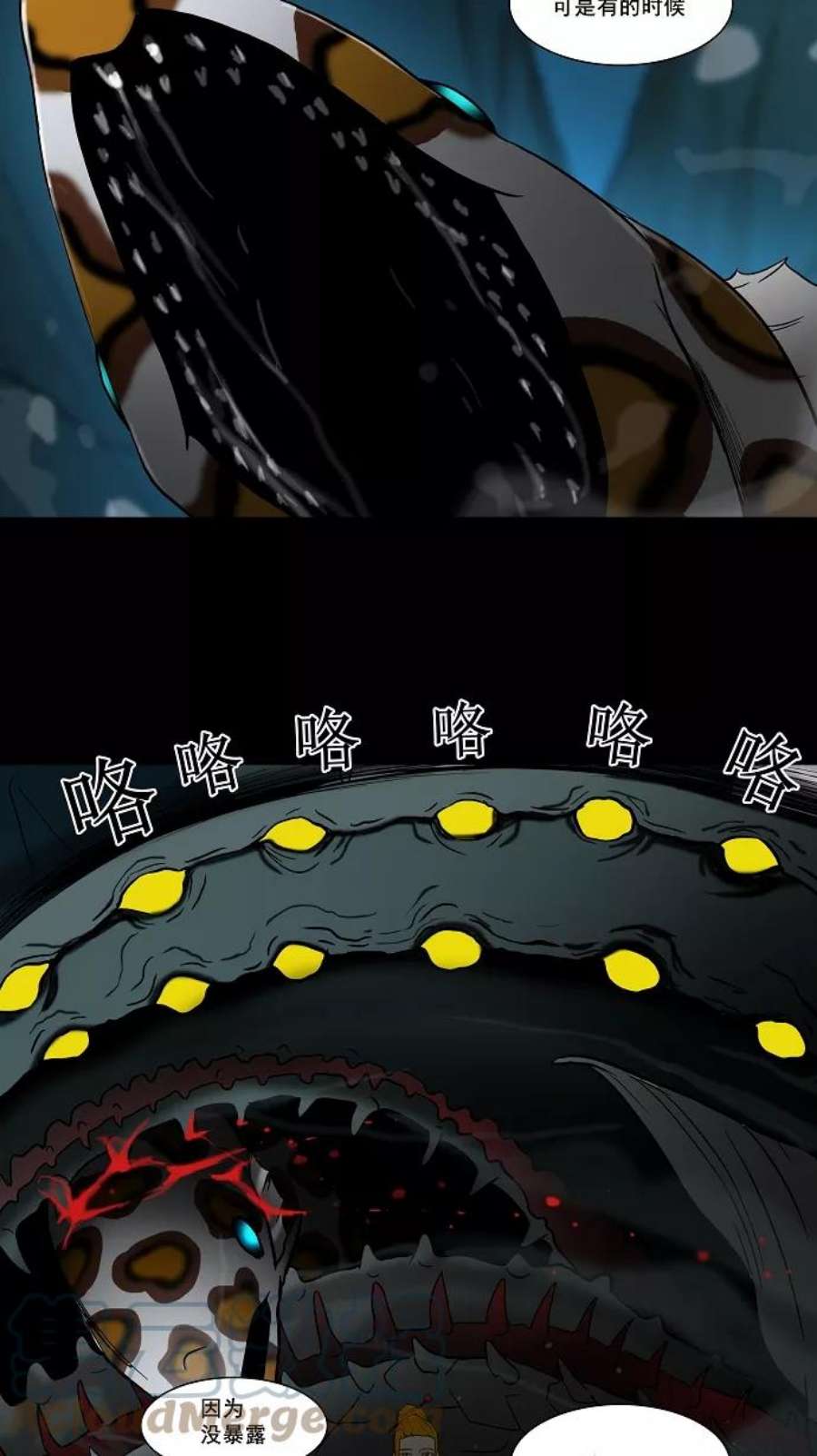 15.jpg