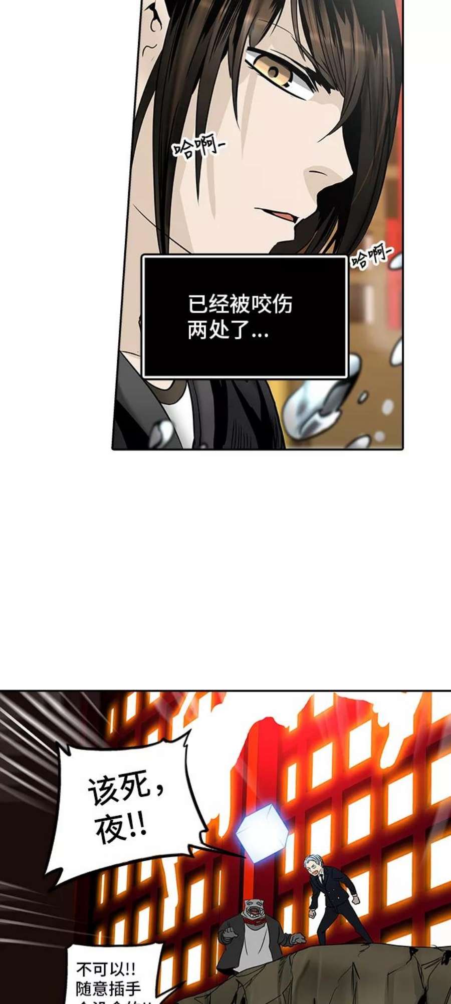 33.jpg