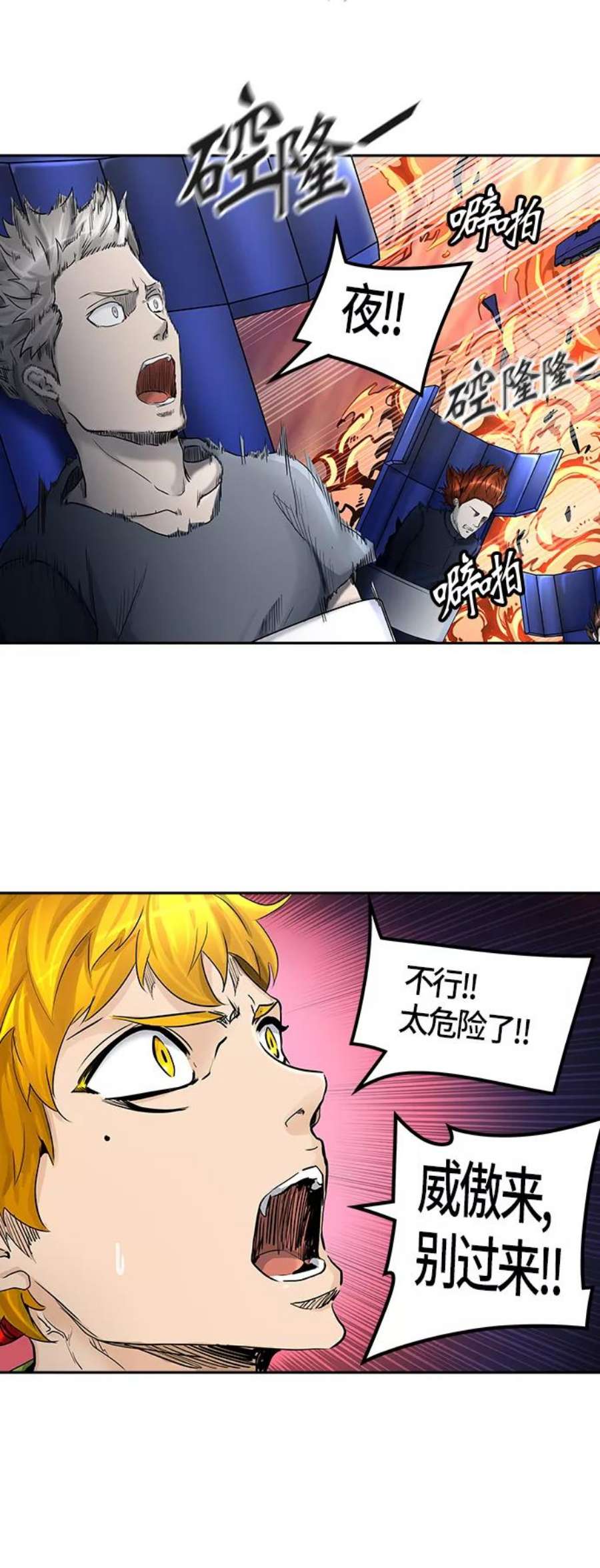 65.jpg